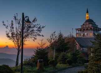 YYLGD YAYLA GIDA Hisse Bilgileri, Teknik ve Temel Analizi YYLGD YAYLA GIDA Hisse Bilgileri, Teknik ve Temel Analizi