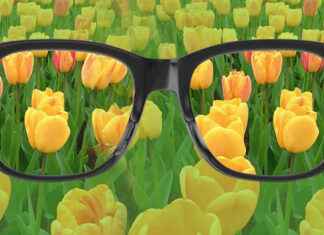 Renk Körlüğü: Nedenleri, Türleri ve Günlük Hayata Etkileri renk körlüğü, renk körlüğü testi, renk körlüğü gözlüğü, renk körlüğü nedir, renk körlüğü lensi, renk körlüğü tedavisi, renk körlüğü çeşitleri