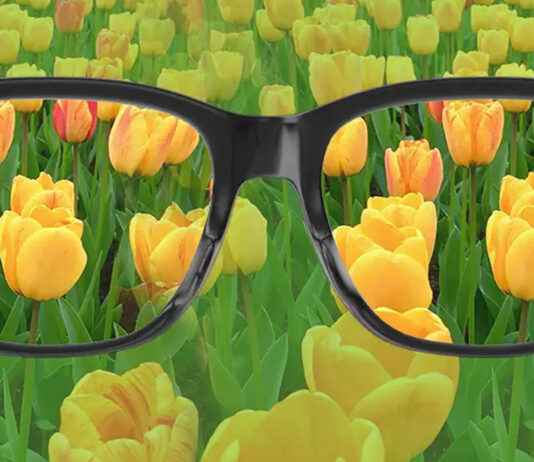 Renk Körlüğü: Nedenleri, Türleri ve Günlük Hayata Etkileri renk körlüğü, renk körlüğü testi, renk körlüğü gözlüğü, renk körlüğü nedir, renk körlüğü lensi, renk körlüğü tedavisi, renk körlüğü çeşitleri